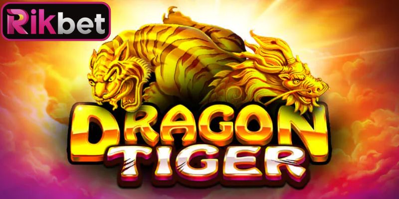 Rồng Hổ Live Rikbet - Với Cơ Hội Làm Giàu Cực Nhanh 3 Quy trình phân định thắng thua rồng hổ live Rikbet